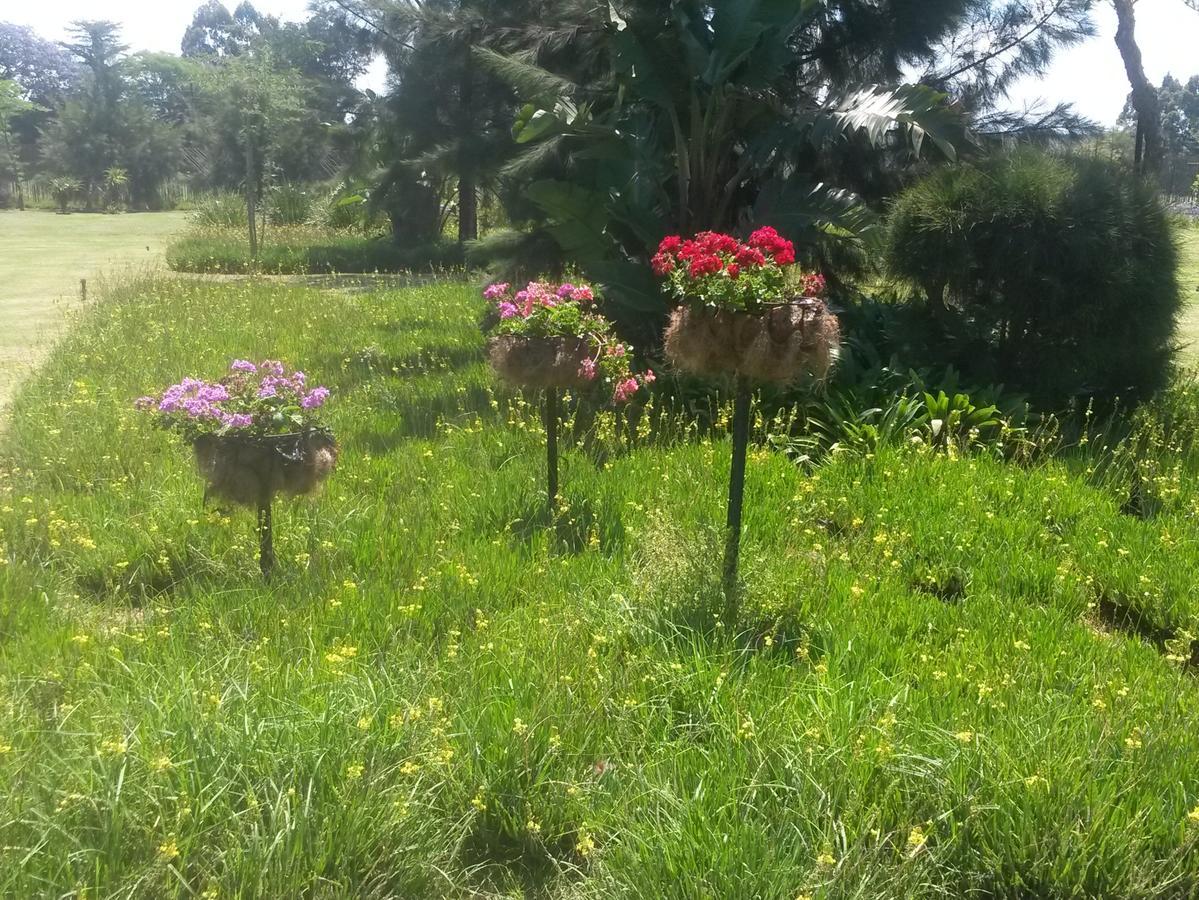 African Flair Country Lodge Piet Retief Εξωτερικό φωτογραφία