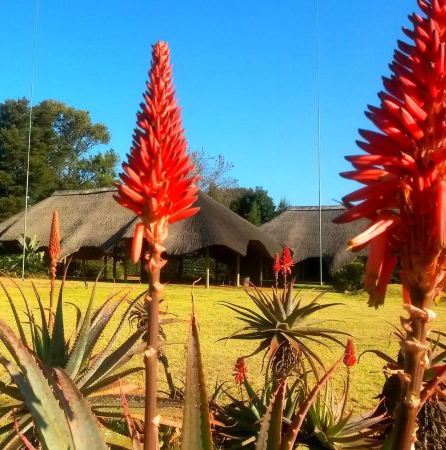 African Flair Country Lodge Piet Retief Εξωτερικό φωτογραφία