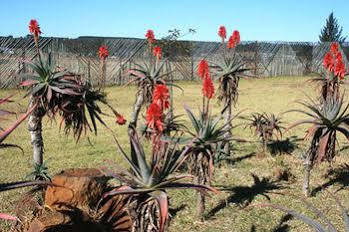 African Flair Country Lodge Piet Retief Εξωτερικό φωτογραφία